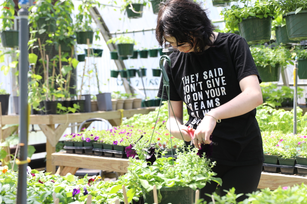 a student trimming a plant