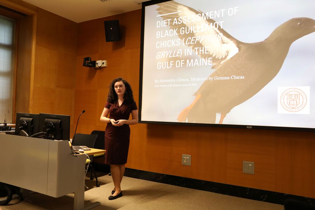 a student presenting to the room