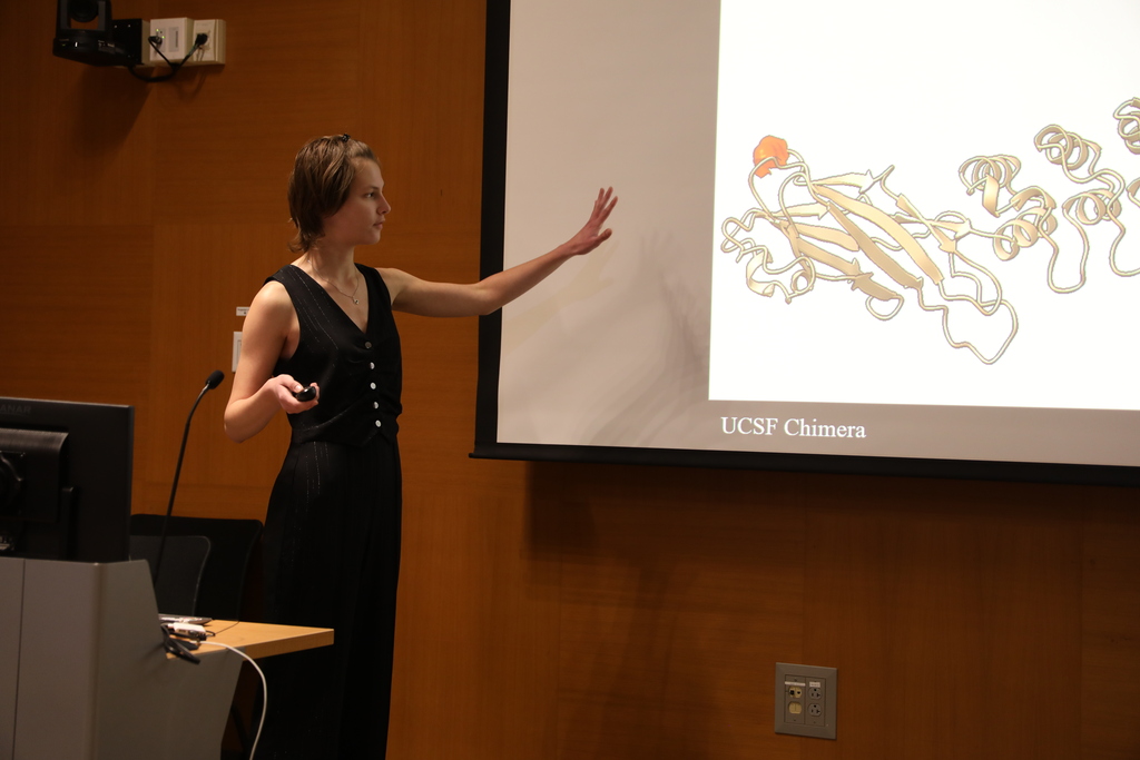 a student presenting to the room