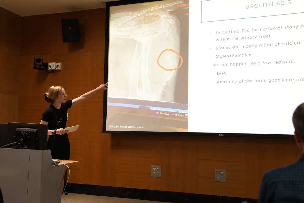a student presenting to the room