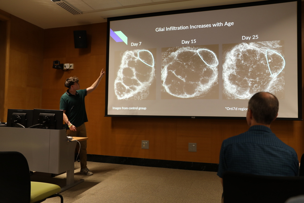 a student presenting to the room