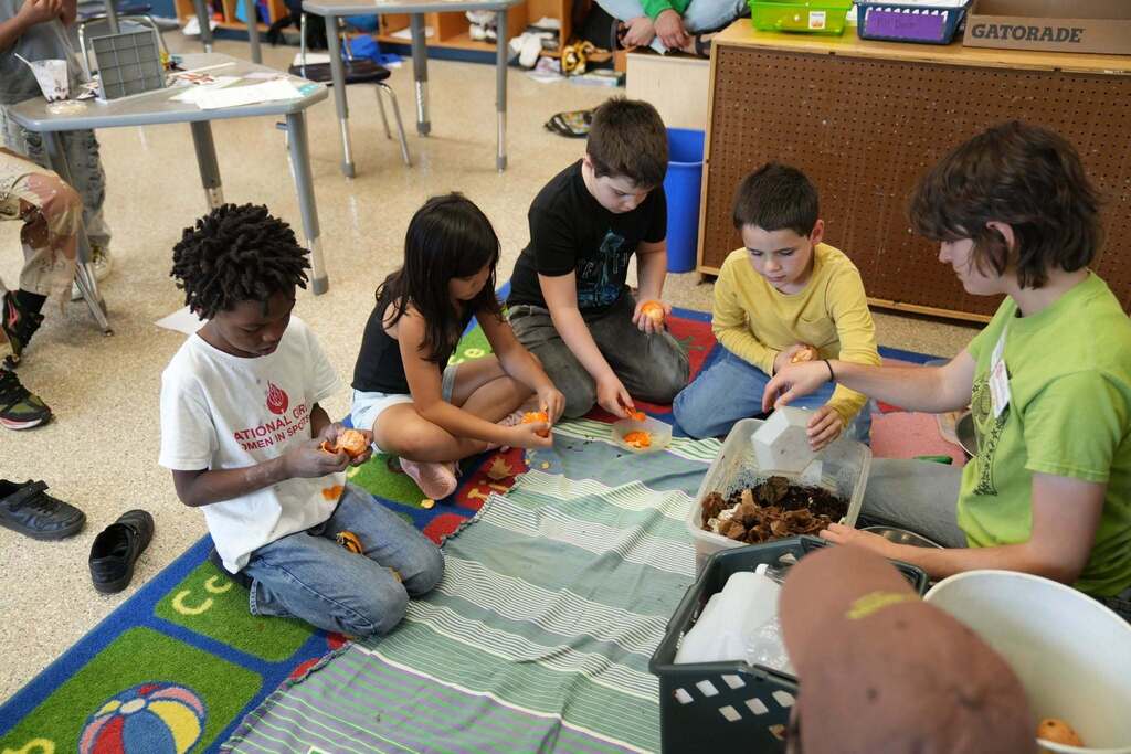 Students participate in a composting activity on a classroom rug, sorting food scraps and examining compost materials with guidance from a Cornell Cooperative Extension educator.