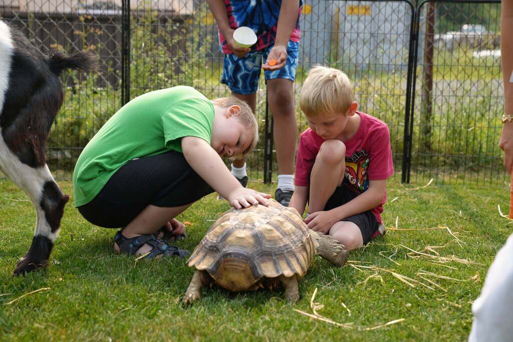 Two students kneel on the grass while gently petting a large tortoise during a visit from Fall Down Farm. A goat stands nearby as other students watch and prepare to feed the animals.