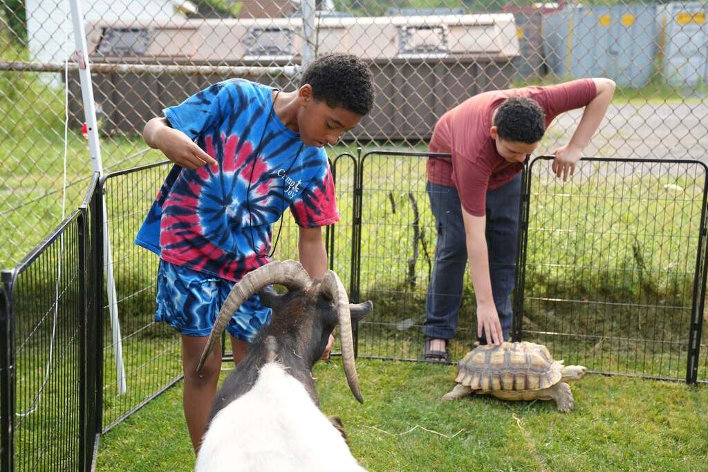 A student reaches out to pet a large horned goat while another student gently pets a tortoise inside a fenced animal enclosure during Fall Down Farm's visit.