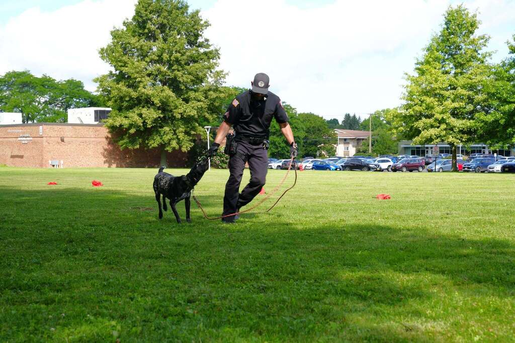A Cornell University Police officer works with K-9 Cooper, a mostly black and gray German Shorthaired Pointer, during a demonstration of the dog's specialized skills on the TST BOCES campus.