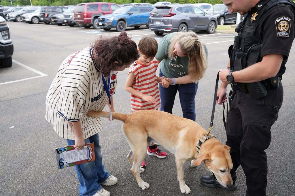 Students and staff gather around a Tompkins County Sheriff’s deputy and K-9 during Summer School Community Day.