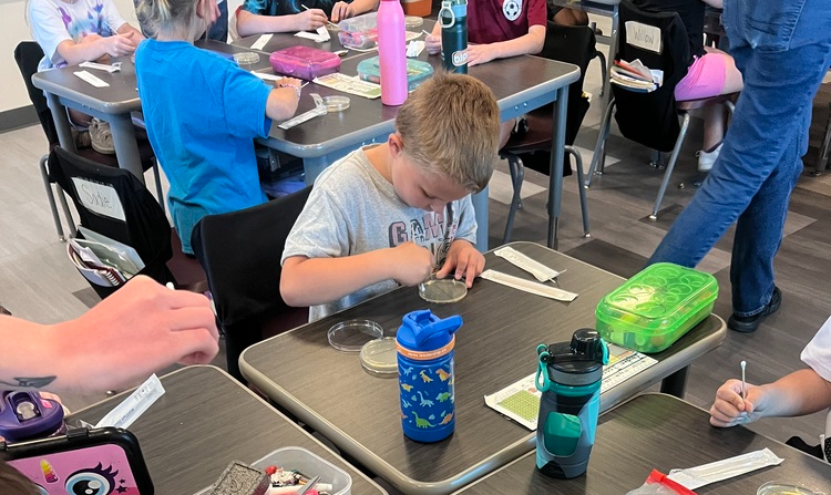 student swabbing a petri dish