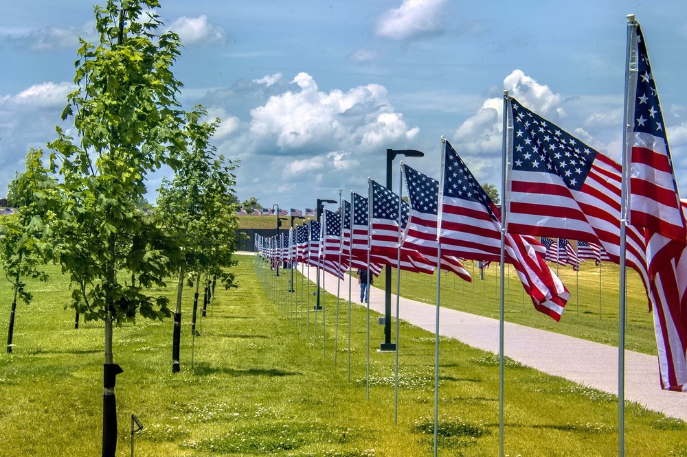 flags lined up on side of road