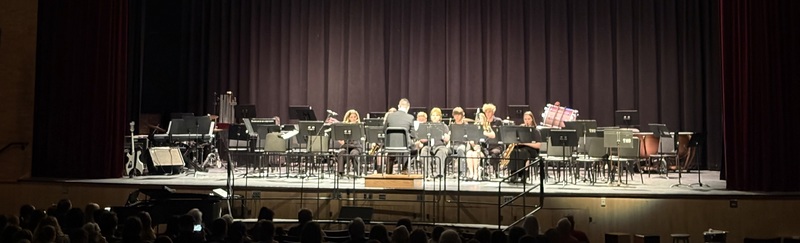 Students perform at THS Spring Concert.