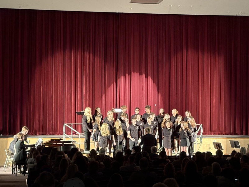 Students perform at THS Spring Concert.