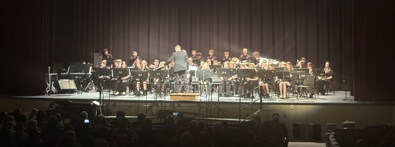 Students perform at THS Spring Concert.