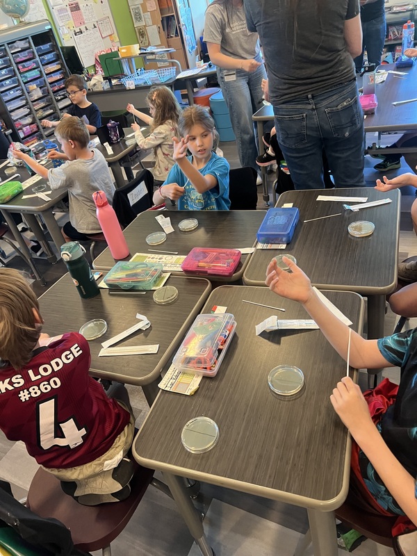 students use swabs to take samples from their bodies