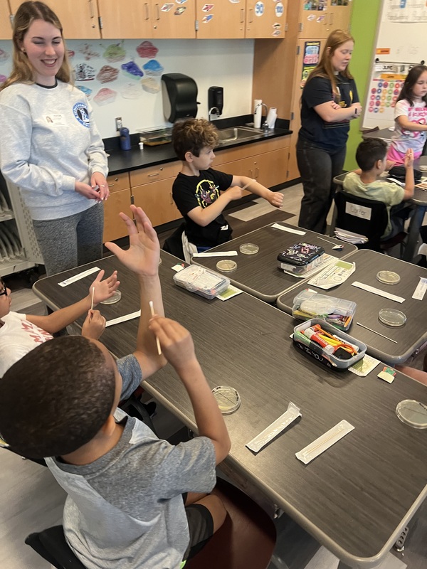 students use swabs to take samples from their bodies