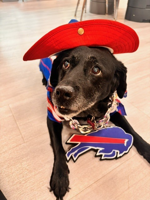 storm poses in buffalo bills gear