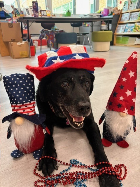 storm poses in fourth of july hat and gnomes