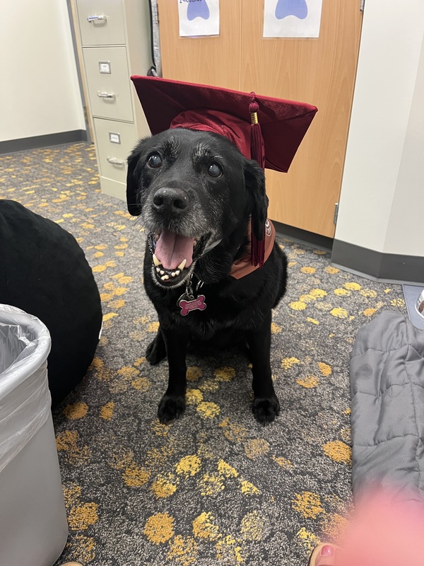storm poses in graduation cap