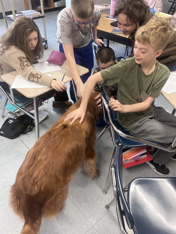 dog sits while students pet him from their desks
