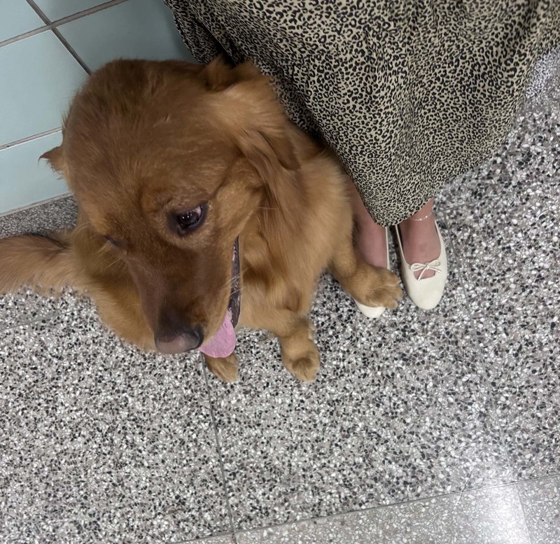 Maverick rests his paw on a foot