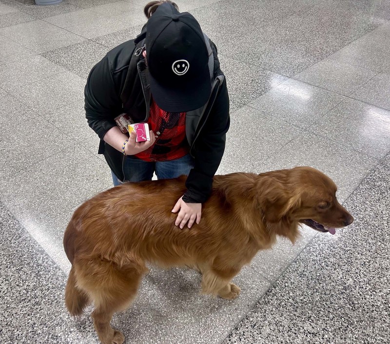 student crouches down to pet dog in the hallway