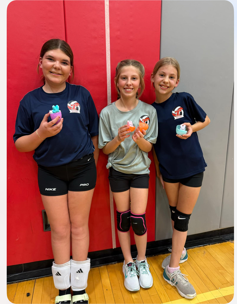 Volleyball Peeps