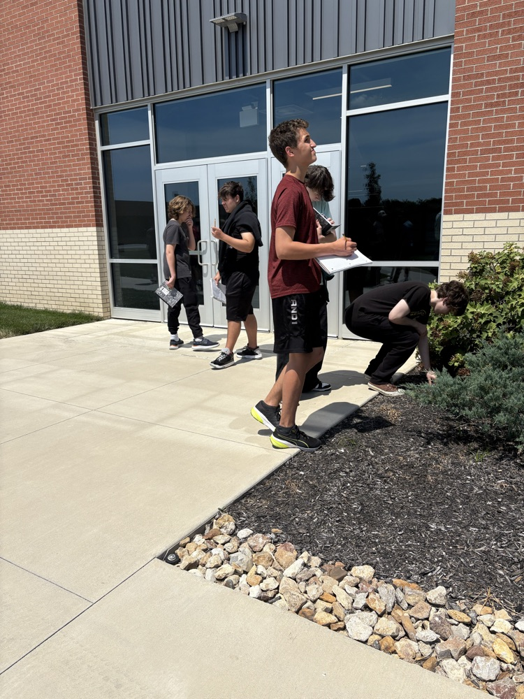 four students looking for nature