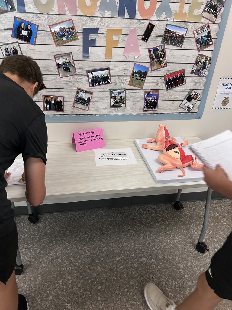 Miss. Overdick and Miss. Hendron's Introduction To Ag class learned about all of the pathways in agriculture and what they have to offer through interactive stations. Students observed insects, identified tools, and look at the internal anatomy of a pig!