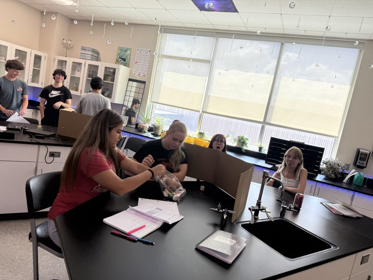 Forensic science students practicing being “good observers”