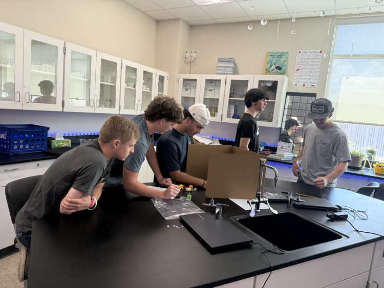 Forensic science students practicing being “good observers”