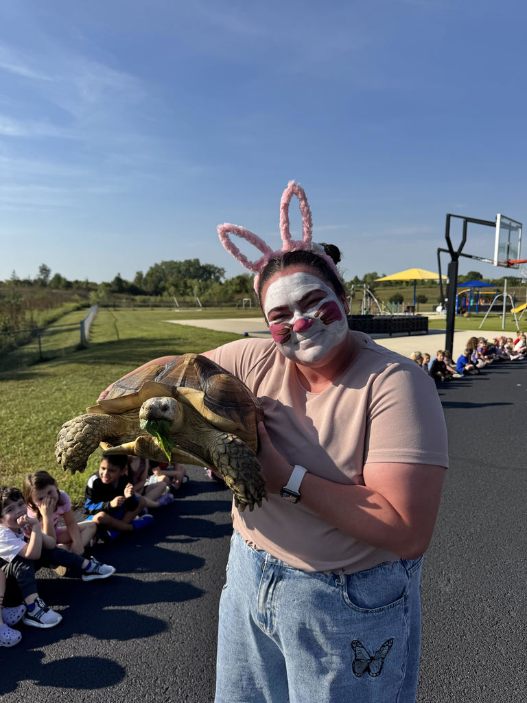 The Tortoise and the Hare