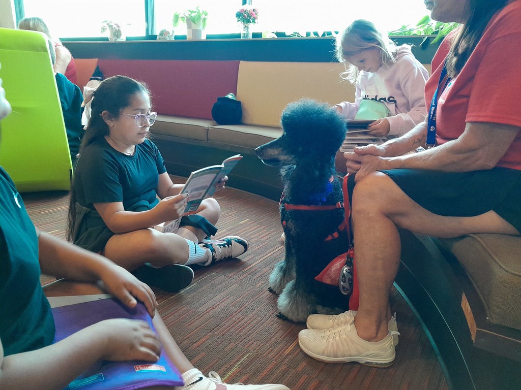 a fifth grade girl wearing black shirt and shorts reads to a black poodle