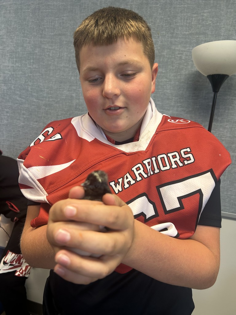 male student wearing red football jersey, holding a black baby chick in his hands