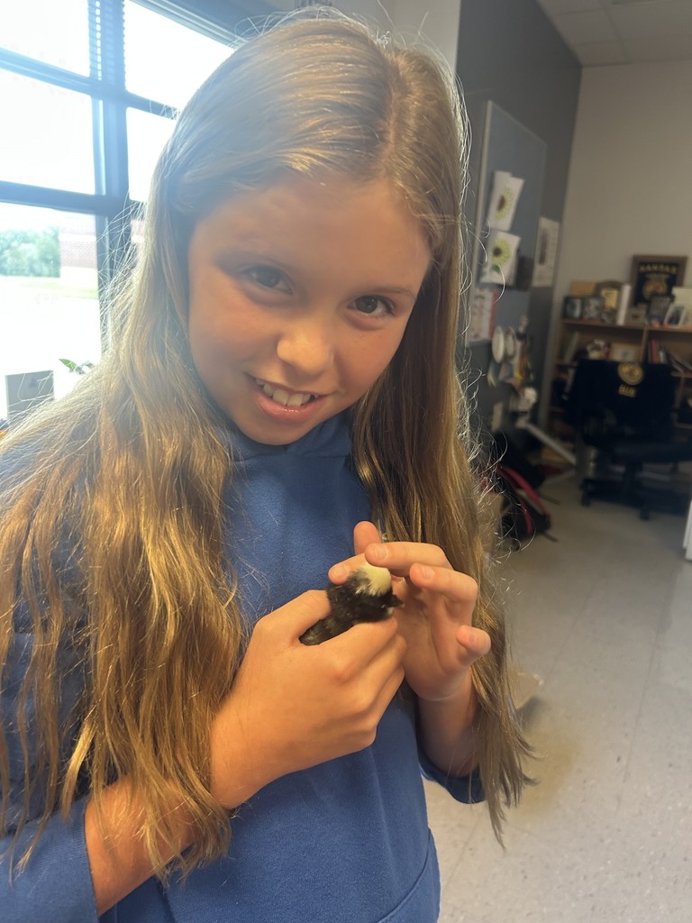 female student wearing blue hoodie, holding a baby chick in her hands