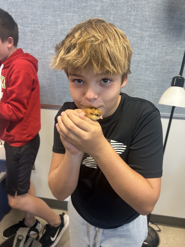 male student wearing a black t shirt and gray sweatpants, holding a baby chick in his hands