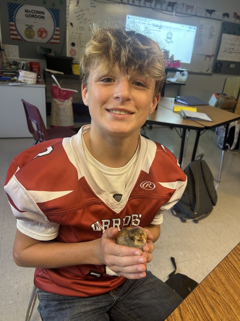 male student wearing jeans and a red football jersey, holding a baby chick in his hands