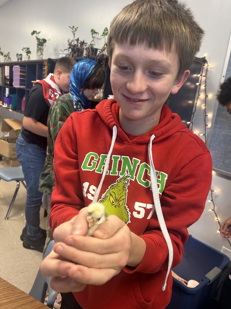 male student wearing red hoodie, holding a baby chick in his hands