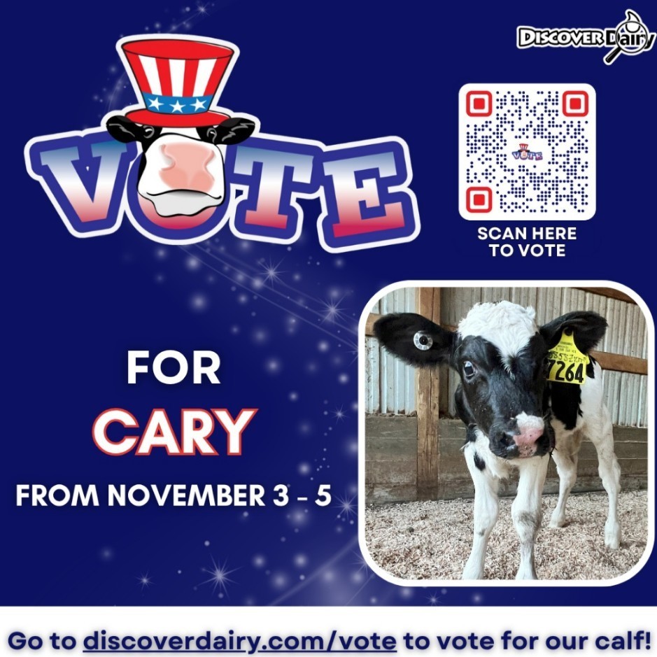vote for cary poster