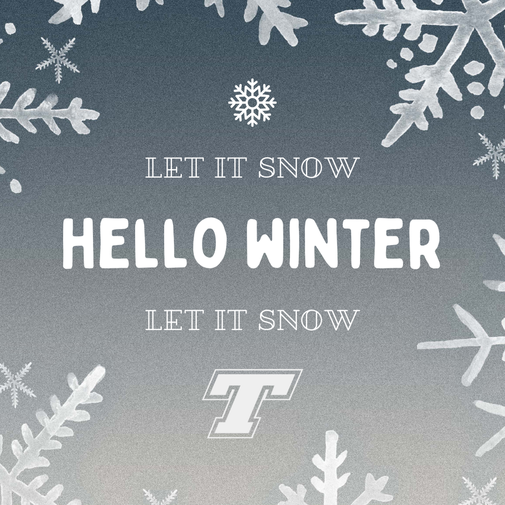 gray background, white snowflakes and white Tongie T logo