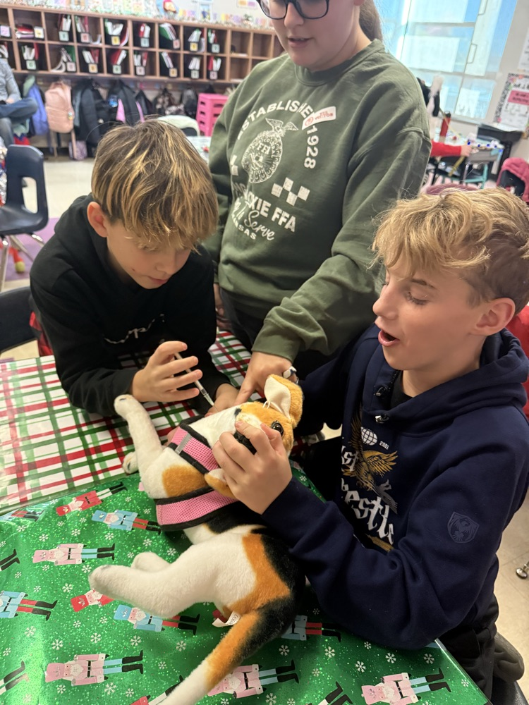 two fifth grade boys hold a stuffed animal dog as one boy administers a pretend vaccine