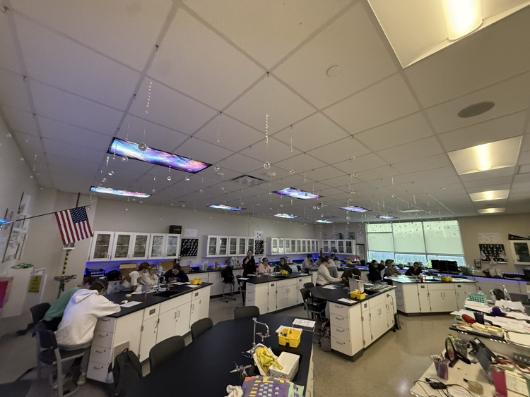 chemistry students doing chemistry