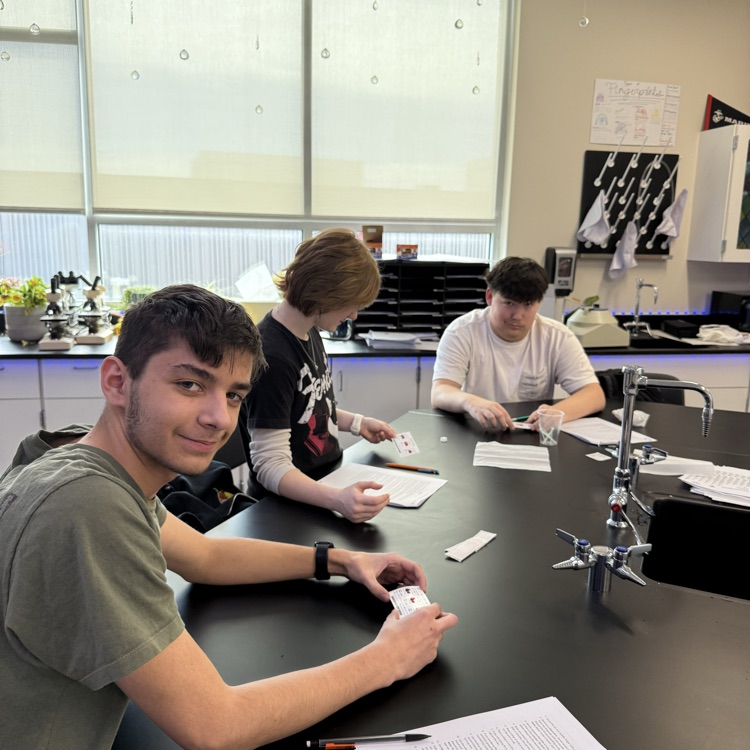 Forensic Science students running a blood typing test
