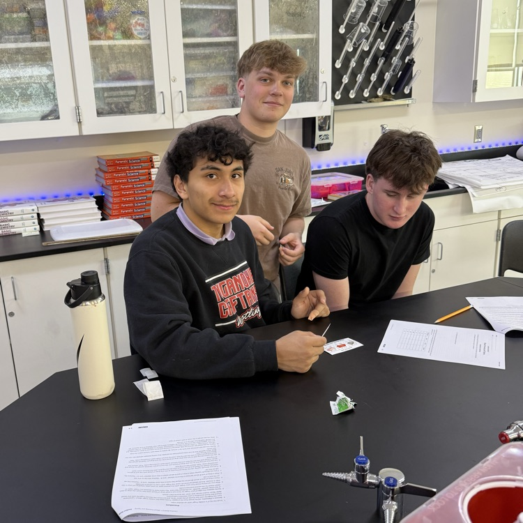 Forensic Science students running a blood typing test