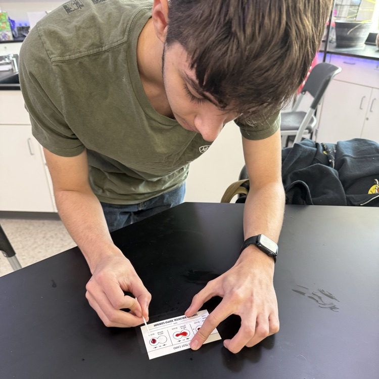 Forensic Science students running a blood typing test
