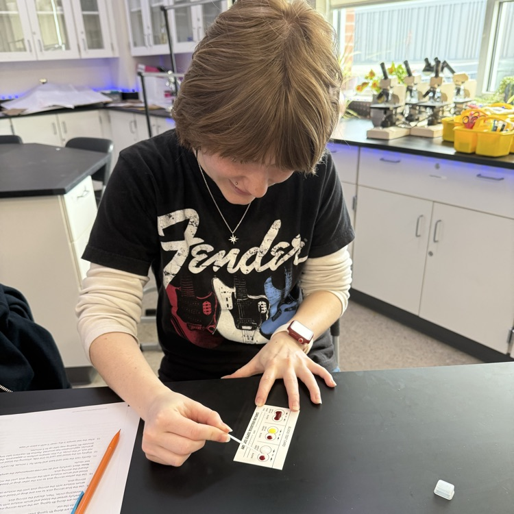Forensic Science students running a blood typing test
