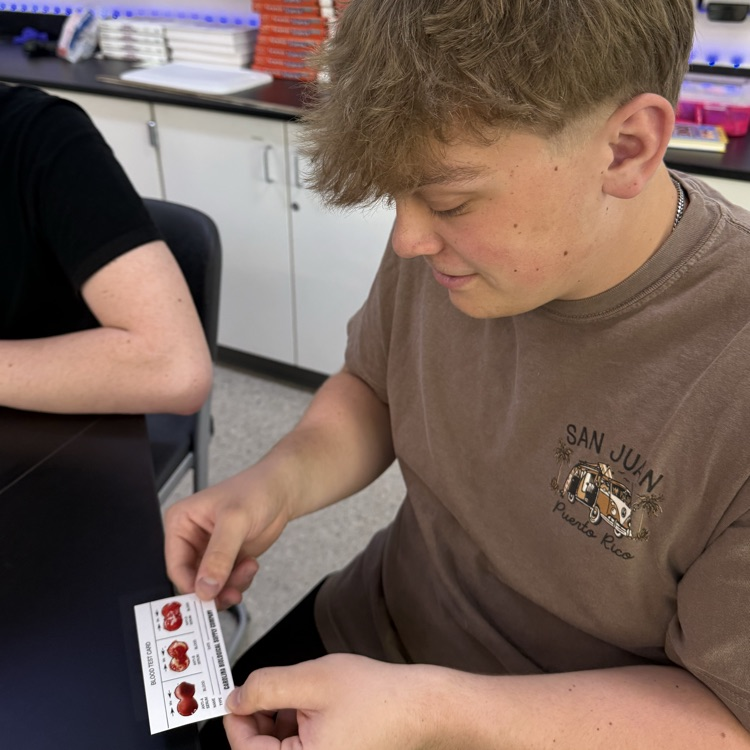 Forensic Science students running a blood typing test