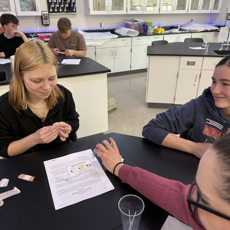 Forensic Science students running a blood typing test