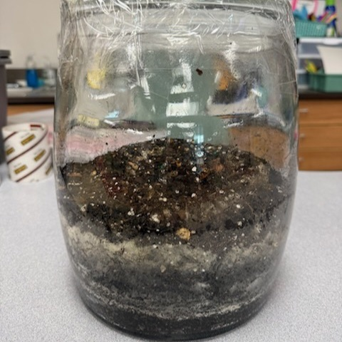 After burping Pumpkin Jack, the new soil on top and the jar is resealed.