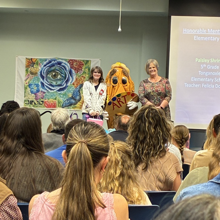 Paisley accepting her award for her placement in the competition