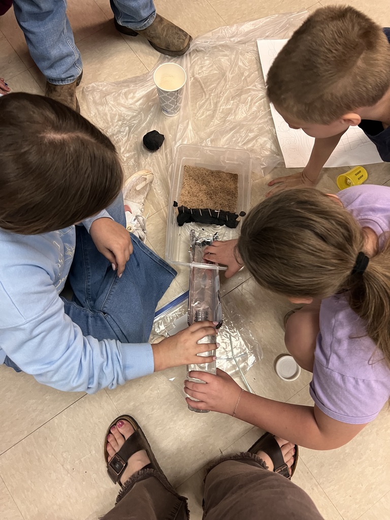 Mrs. Lang's 3rd grade class participated in a Seawall Science Engineering Challenge.  
