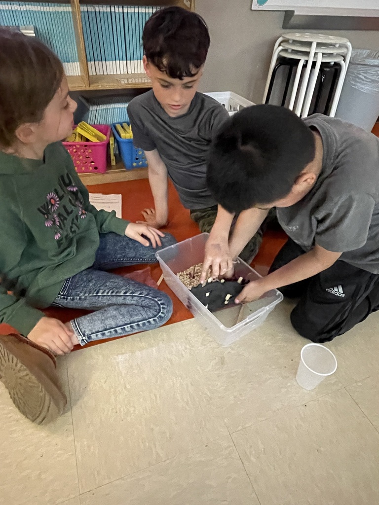 Seawall Challenge participants 