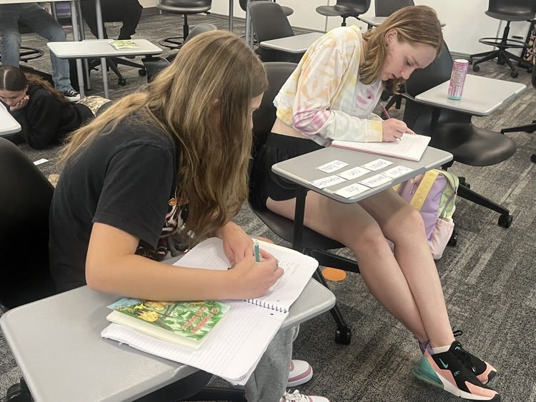Two female students are sitting at desks and are copying their sentence that they sequenced using the vocabulary cards from our class novel, El capibara con botas.